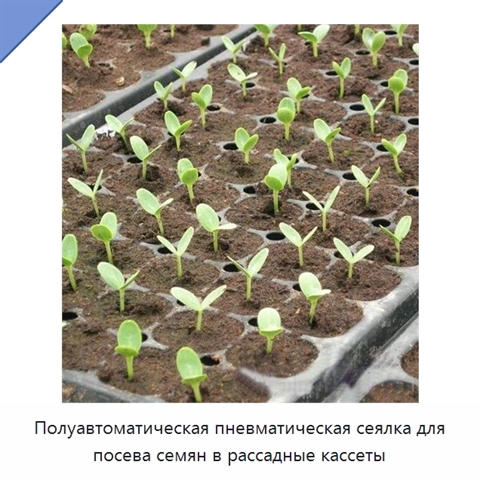 Полуавтоматическая пневматическая сеялка для посева семян в рассадные кассеты