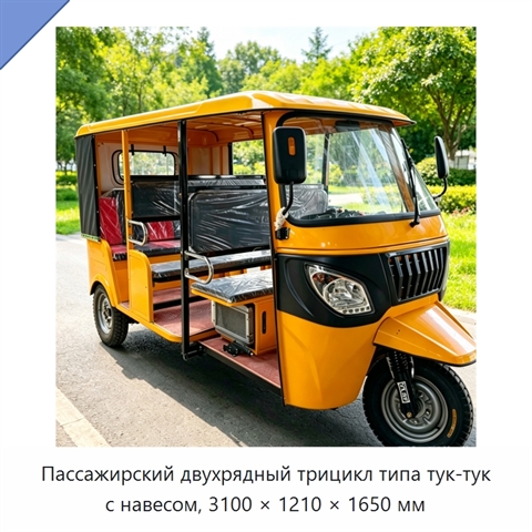 Пассажирский двухрядный трицикл типа тук-тук с навесом, 3100 × 1210 × 1650 мм