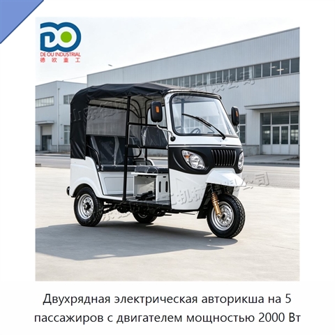 Двухрядная электрическая авторикша на 5 пассажиров с двигателем мощностью 2000 Вт