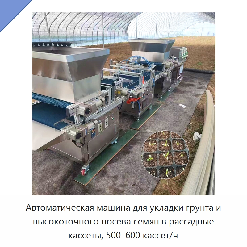 Автоматическая машина для укладки грунта и высокоточного посева семян в рассадные кассеты, 500–600 кассет/ч — Сеялки и рассадопосадочные машины