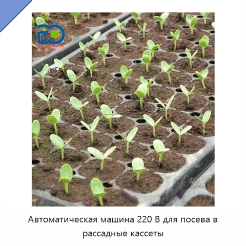 Автоматическая машина 220 В для посева в рассадные кассеты