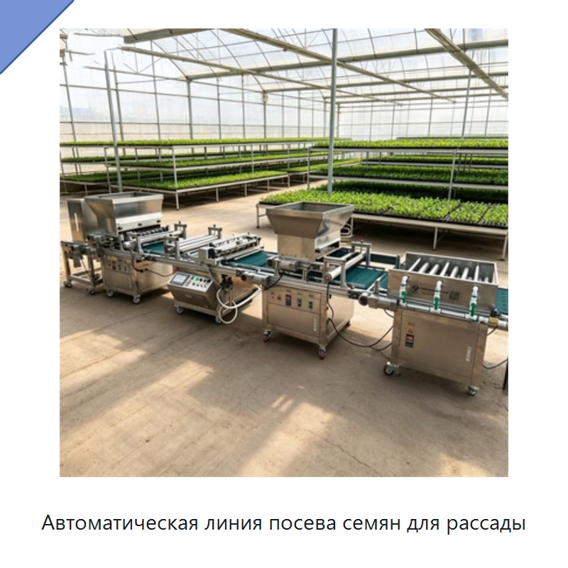 Автоматическая линия посева семян для рассады — Системы орошения