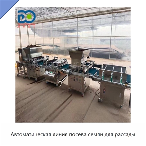 Автоматическая линия посева семян для рассады