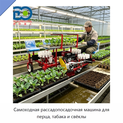 Самоходная рассадопосадочная машина для перца, табака и свёклы