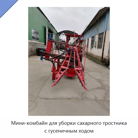 Мини-комбайн для уборки сахарного тростника с гусеничным ходом