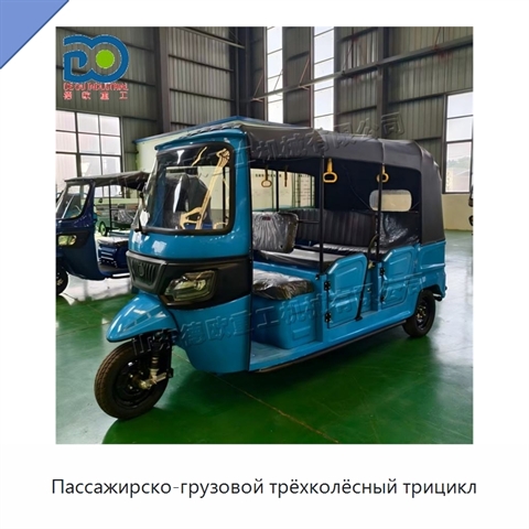 Пассажирско-грузовой трёхколёсный трицикл