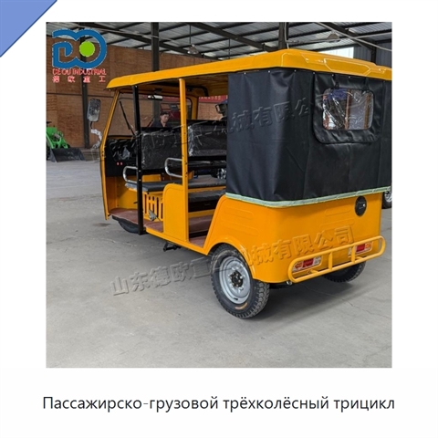 Пассажирско-грузовой трёхколёсный трицикл