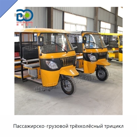 Пассажирско-грузовой трёхколёсный трицикл