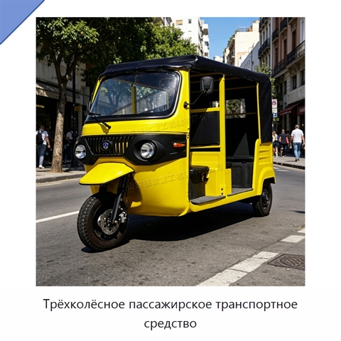 Трёхколёсное пассажирское транспортное средство