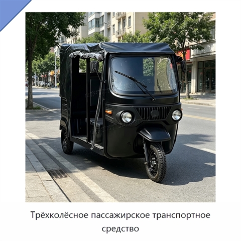 Трёхколёсное пассажирское транспортное средство