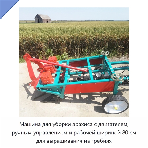 Машина для уборки арахиса с двигателем, ручным управлением и рабочей шириной 80 см для выращивания на гребнях