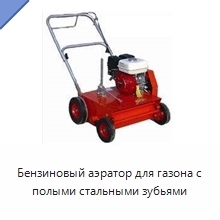 Бензиновый аэратор для газона с полыми стальными зубьями