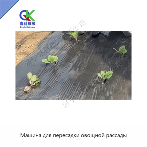 Машина для пересадки овощной рассады
