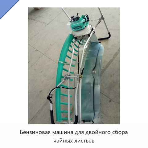 Бензиновая машина для двойного сбора чайных листьев