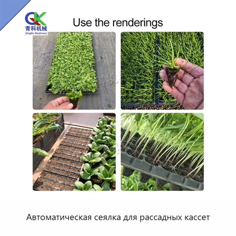 Автоматическая сеялка для рассадных кассет