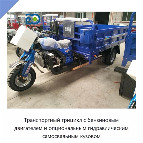 Транспортный трицикл с бензиновым двигателем и опциональным гидравлическим самосвальным кузовом