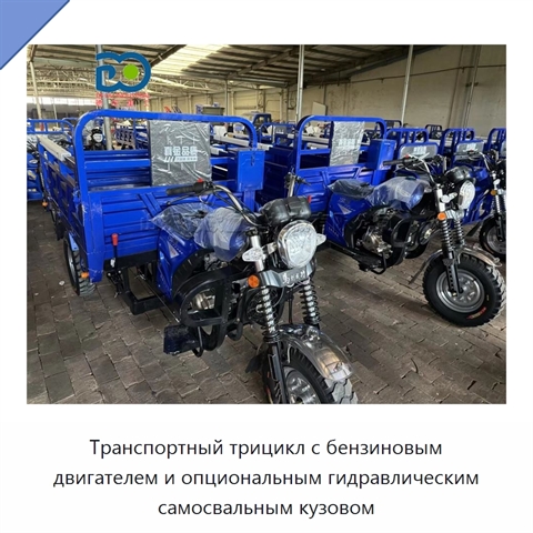 Транспортный трицикл с бензиновым двигателем и опциональным гидравлическим самосвальным кузовом