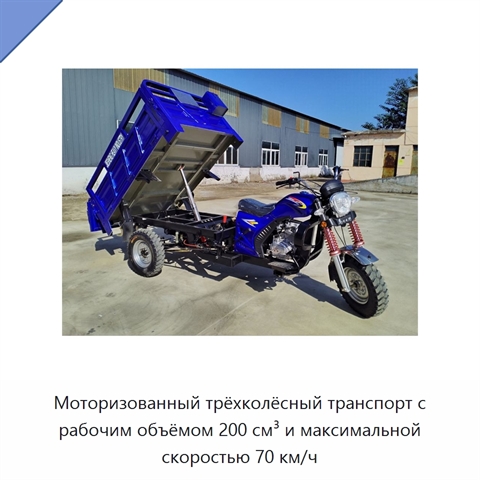 Моторизованный трёхколёсный транспорт с рабочим объёмом 200 см³ и максимальной скоростью 70 км/ч