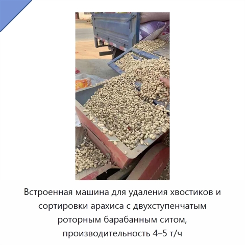 Встроенная машина для удаления хвостиков и сортировки арахиса с двухступенчатым роторным барабанным ситом, производительность 4–5 т/ч