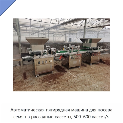 Автоматическая пятирядная машина для посева семян в рассадные кассеты, 500–600 кассет/ч