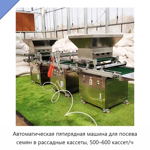 Автоматическая пятирядная машина для посева семян в рассадные кассеты, 500–600 кассет/ч