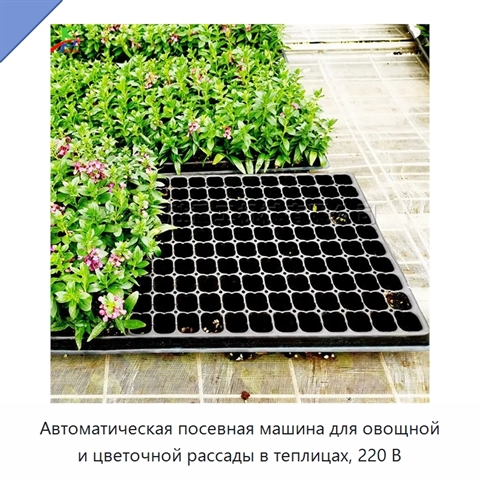 Автоматическая посевная машина для овощной и цветочной рассады в теплицах, 220 В