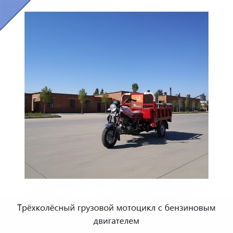 Трёхколёсный грузовой мотоцикл с бензиновым двигателем