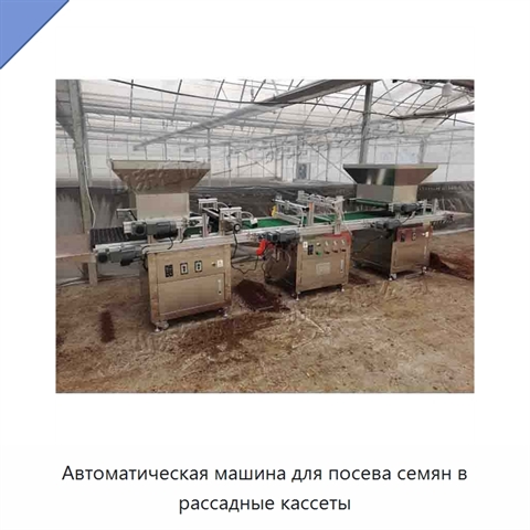 Автоматическая машина для посева семян в рассадные кассеты