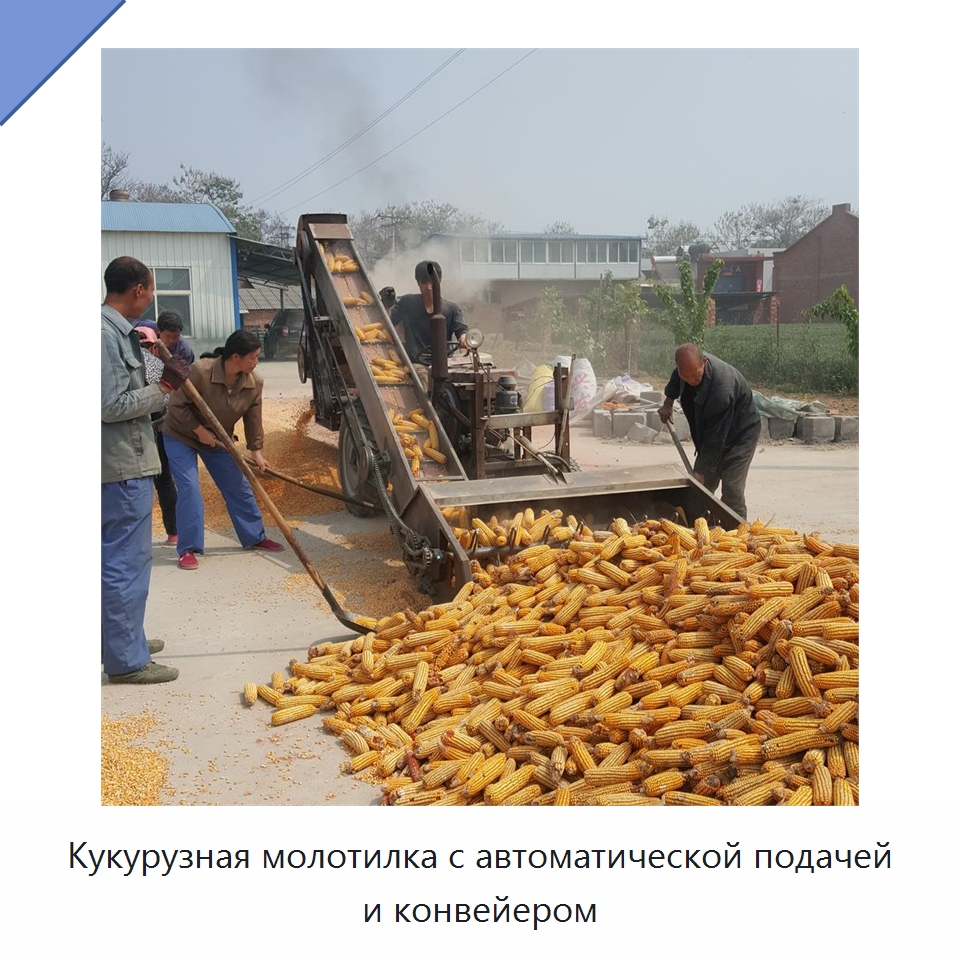Кукурузная молотилка с автоматической подачей и конвейером — Шелушильные машины