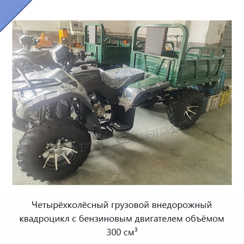 Четырёхколёсный грузовой внедорожный квадроцикл с бензиновым двигателем объёмом 300 см³