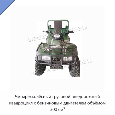 Четырёхколёсный грузовой внедорожный квадроцикл с бензиновым двигателем объёмом 300 см³
