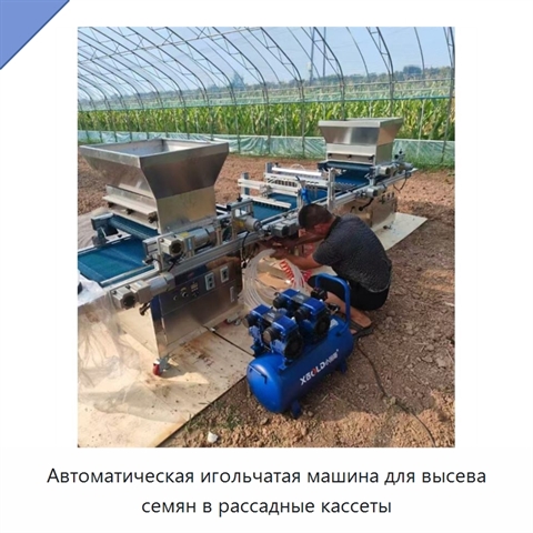 Автоматическая игольчатая машина для высева семян в рассадные кассеты