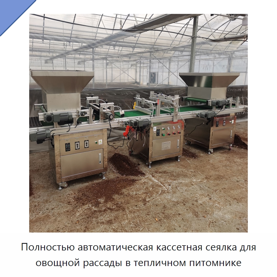 Полностью автоматическая кассетная сеялка для овощной рассады в тепличном питомнике — Сеялки и рассадопосадочные машины