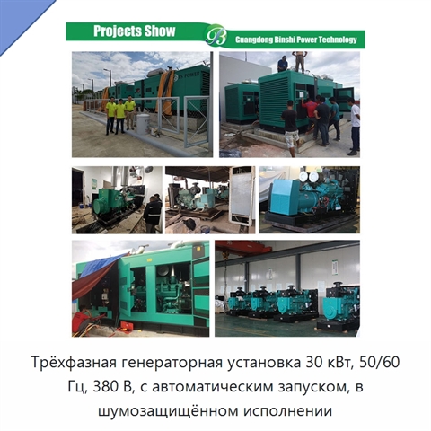 Трёхфазная генераторная установка 30 кВт, 50/60 Гц, 380 В, с автоматическим запуском, в шумозащищённом исполнении