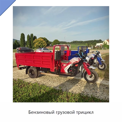 Бензиновый грузовой трицикл