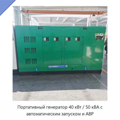 Портативный генератор 40 кВт / 50 кВА с автоматическим запуском и АВР
