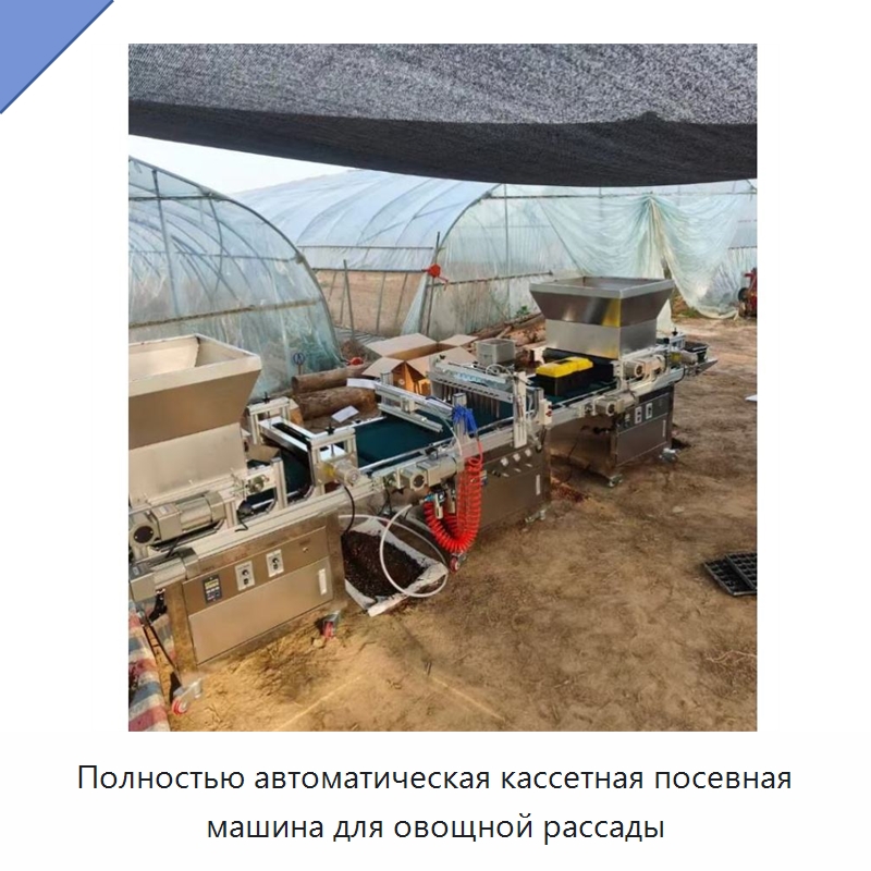 Полностью автоматическая кассетная посевная машина для овощной рассады — Сеялки и рассадопосадочные машины