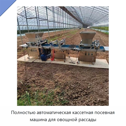 Полностью автоматическая кассетная посевная машина для овощной рассады