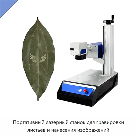 Портативный лазерный станок для гравировки листьев и нанесения изображений