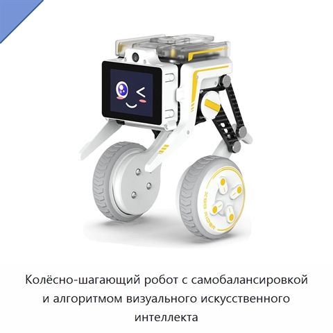 Колёсно-шагающий робот с самобалансировкой и алгоритмом визуального искусственного интеллекта