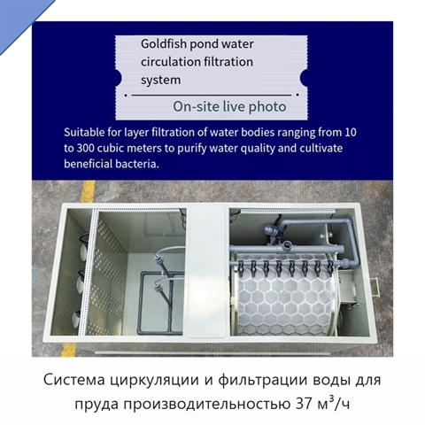 Система циркуляции и фильтрации воды для пруда производительностью 37 м³/ч