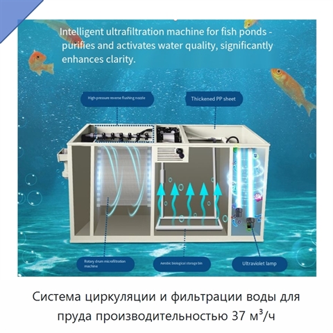 Система циркуляции и фильтрации воды для пруда производительностью 37 м³/ч