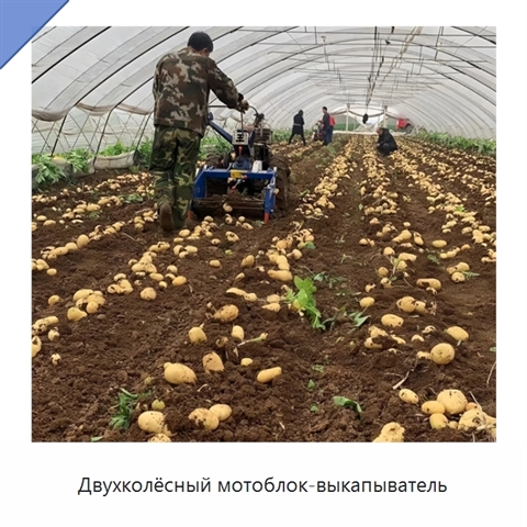 Двухколёсный мотоблок-выкапыватель