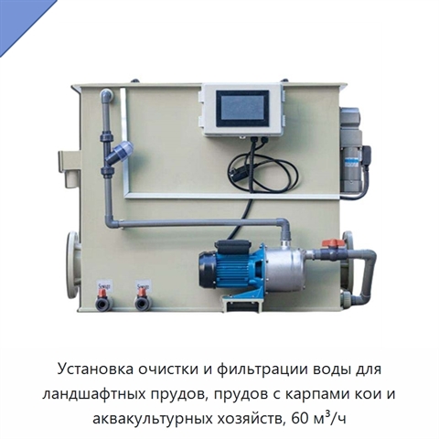 Установка очистки и фильтрации воды для ландшафтных прудов, прудов с карпами кои и аквакультурных хозяйств, 60 м³/ч