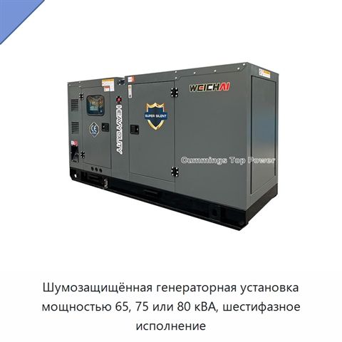 Шумозащищённая генераторная установка мощностью 65, 75 или 80 кВА, шестифазное исполнение