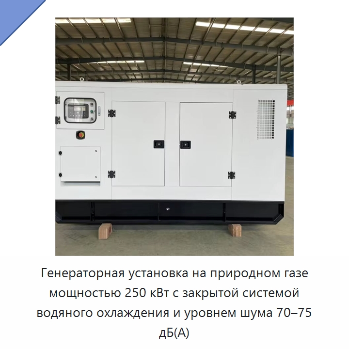 Генераторная установка на природном газе мощностью 250 кВт с закрытой системой водяного охлаждения и уровнем шума 70–75 дБ(А) — Газотурбинные генераторы