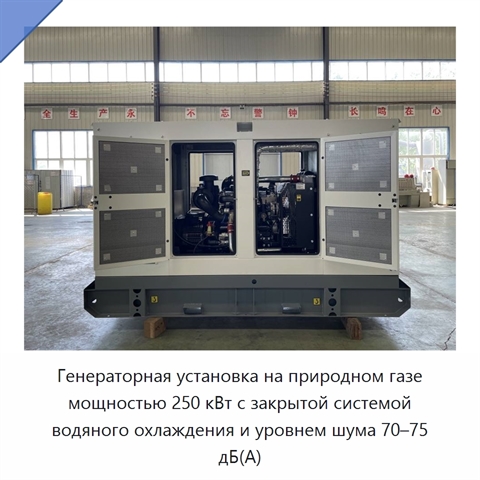 Генераторная установка на природном газе мощностью 250 кВт с закрытой системой водяного охлаждения и уровнем шума 70–75 дБ(А)