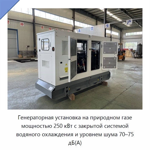Генераторная установка на природном газе мощностью 250 кВт с закрытой системой водяного охлаждения и уровнем шума 70–75 дБ(А)