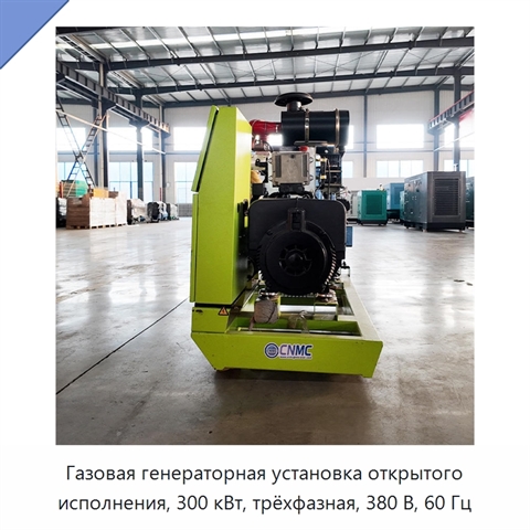 Газовая генераторная установка открытого исполнения, 300 кВт, трёхфазная, 380 В, 60 Гц