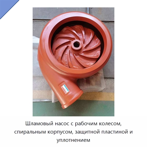 Шламовый насос с рабочим колесом, спиральным корпусом, защитной пластиной и уплотнением